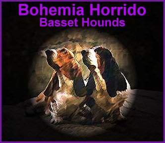 Bohemia Horrido4.jpg (26664 bytes)