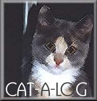 Cat_Web.jpg (13119 bytes)