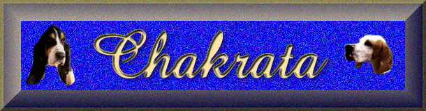 Chakratabanner.gif (91023 bytes)